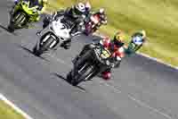 brands-hatch-photographs;brands-no-limits-trackday;cadwell-trackday-photographs;enduro-digital-images;event-digital-images;eventdigitalimages;no-limits-trackdays;peter-wileman-photography;racing-digital-images;trackday-digital-images;trackday-photos